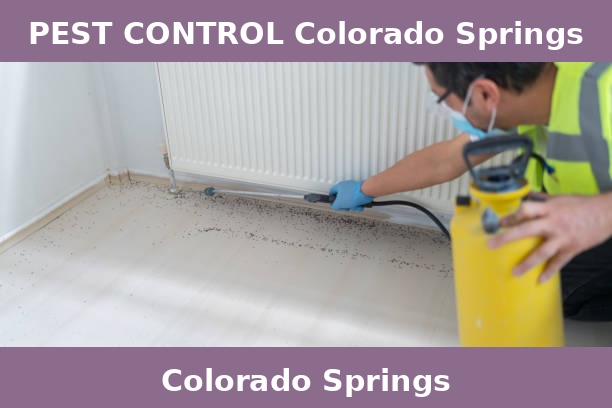 PEST CONTROL Colorado Springs